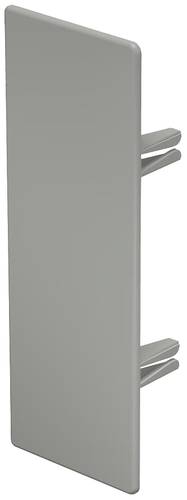 OBO Bettermann 6022545 Endstück (B x H) 60mm x 170mm 10 St. Stein-Grau von OBO Bettermann