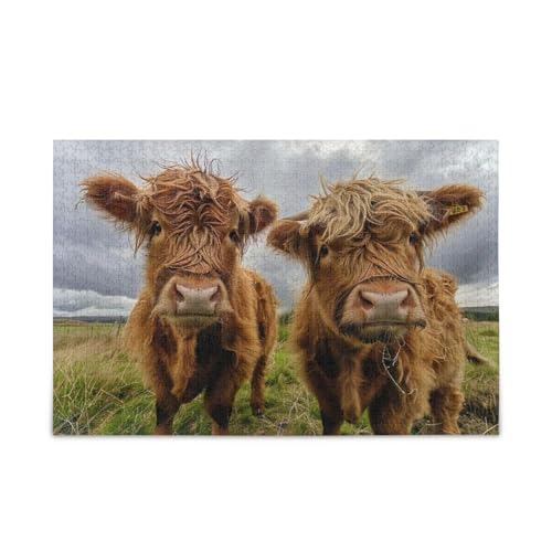 Highland Cows Puzzle Solide 2mm Puzzle Teile Nette Familie Aktivität, Fertige Größe 29,5 "x 19,75" von ODAWA