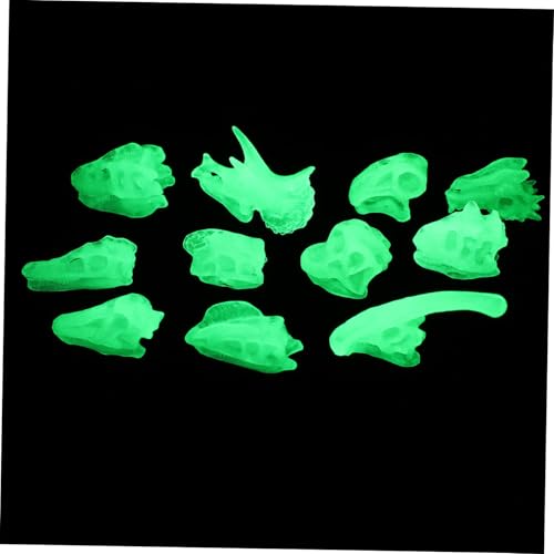 OFFIGAM Leuchtendes Dinosaurier Schädelmodell aus PVC Pädagogisches für Realistische Knochen Dekoration Leicht und Tragbar Fördert Kognitive Entwicklung und Fantasie OFFIGAM Leuchtendes Dinosaurier Schädelmodell aus PVC Pädagogisches für Realistische Knochen Dekoration Leicht und Tragbar Fördert Kognitive Entwicklung und Fantasie von OFFIGAM