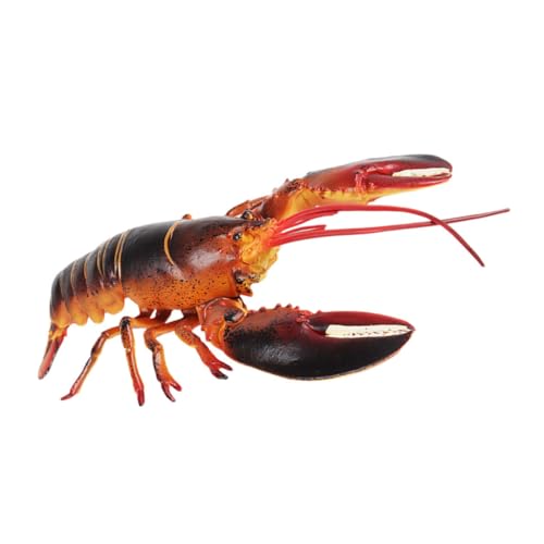 OFFIGAM Realistische Tierfiguren Dekorationen Für Aquarien Realistischer Hummer Meerestierfiguren Krabbelndes Babyspielzeug Fischtankdekor Gefälschte Krabbe Lebensechter Hummer Plastik OFFIGAM Realistische Tierfiguren Dekorationen Für Aquarien Realistischer Hummer Meerestierfiguren Krabbelndes Babyspielzeug Fischtankdekor Gefälschte Krabbe Lebensechter Hummer Plastik von OFFIGAM