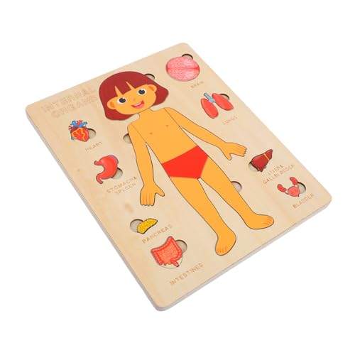 1 Set Puzzle Für Den Menschlichen Körper Kleinkindspielzeug Kinderspielzeug Kinderpuzzle Kinderspielzeug Puzzle Für Kleinkinder Menschlicher Körper Holzpuzzle Spielzeug OKUMEYR von OKUMEYR