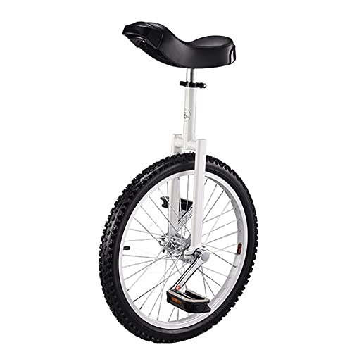 OLSDXAWQ, 20-Zoll-Radbalance-Übungsspaßfahrrad – Verstellbarer Sitz – 150 kg Tragkraft – Fitness-Scooter for Zirkusvorstellungen(White) von OLSDXAWQ