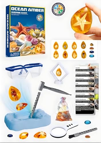 Boys Toys 6-8 Jahre - Sea Life Bernstein Ausgrabungsset, Fossilien Ausgrabungsset für Kinder mit 8 Exemplaren, Ausgrabungsspielzeug für 6 7 8 Jahre alte Jungen Geburtstagsgeschenke (Bernstein) von ONXE