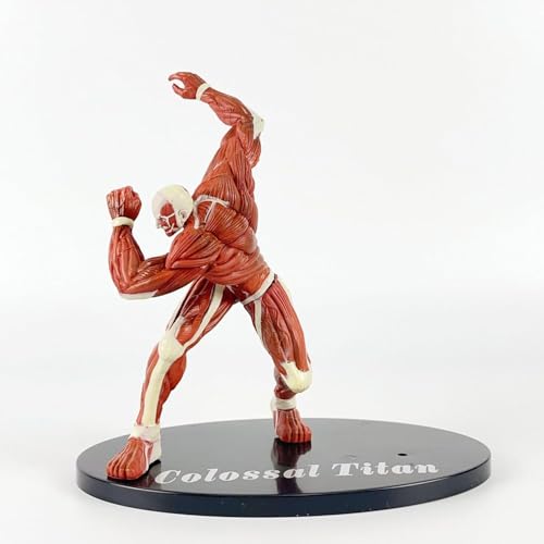 OPQRSTUVW Eren Jaeger, Levi, Figura de acci?n, cifras de anime de ?n, figura de personajes de PVC, colecci?n de estatua de PVC, modelo de decoraci?n, regalo 6.3 (The Blinded Titan 2) von OPQRSTUVW