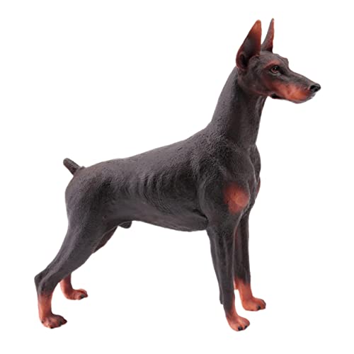 ORFOFE 1Stk Dobermann-Modell wildes Modell Dobermann- imitierte Dobermann-Statue Simulation Tierdekoration Wildtiermodell Spielzeug schreibtischdeko Animal Figures mockin Toys von ORFOFE