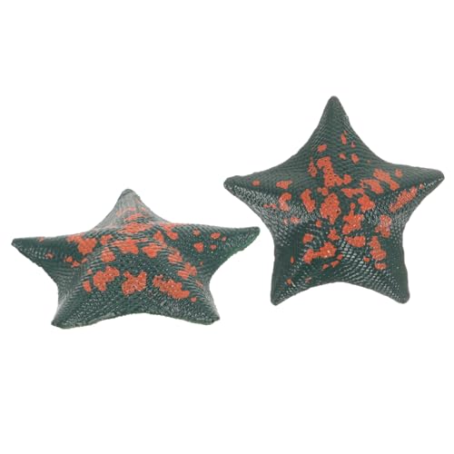 ORFOFE 2pcs Haushaltssee Sterndekor Sea-Star-Spielzeug Desktop Sea Star Model Kinderversorgung von ORFOFE