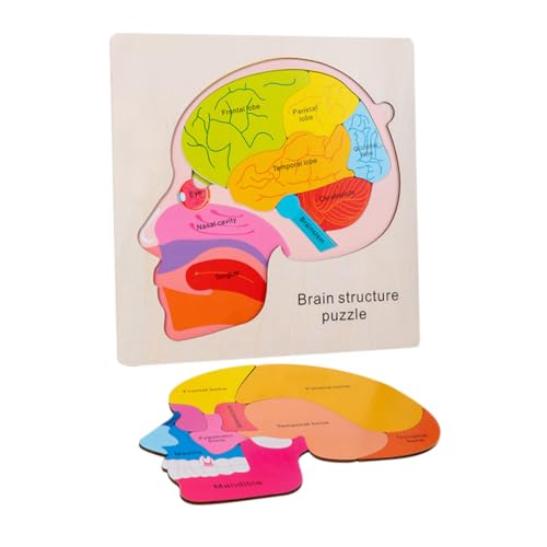 ORFOFE Holz Gehirnstruktur Puzzle Lernspielzeug Ab Jahre Mehrschichtiges Montessori Gehirn Lernspiel für Pädagogisches Denkspiel zur Kognitiven Entwicklung Motorisches Knobelspiel für ORFOFE Holz Gehirnstruktur Puzzle Lernspielzeug Ab Jahre Mehrschichtiges Montessori Gehirn Lernspiel für Pädagogisches Denkspiel zur Kognitiven Entwicklung Motorisches Knobelspiel für von ORFOFE