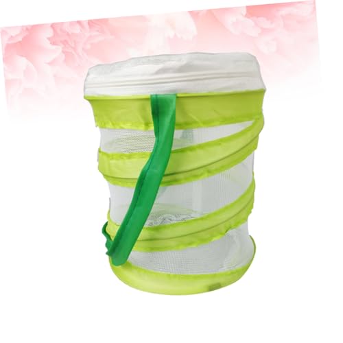 ORFOFE Kleines Faltbares Insektenhaus mit Griff Tragbarer Klappkäfig für Naturentdeckungs Beobachtung von Insekten Fördert Lernen und Neugier im Freien ORFOFE Kleines Faltbares Insektenhaus mit Griff Tragbarer Klappkäfig für Naturentdeckungs Beobachtung von Insekten Fördert Lernen und Neugier im Freien von ORFOFE