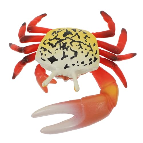 ORFOFE Realistisches Künstliches Meerestiermodell Lebensechte Meeresdeko Pädagogisches Strandspielzeug für Aquarium Deko Portables Lernspielzeug ORFOFE Realistisches Künstliches Meerestiermodell Lebensechte Meeresdeko Pädagogisches Strandspielzeug für Aquarium Deko Portables Lernspielzeug von ORFOFE