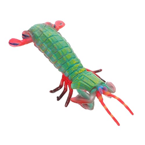 ORFOFE Realistisches Mantisgarnelen Modell Tier Figur Lernspielzeug Hohe Detailtreue Vielseitig für Spiel Dekoration und Bildung Perfektes für Jungen und Mädchen ORFOFE Realistisches Mantisgarnelen Modell Tier Figur Lernspielzeug Hohe Detailtreue Vielseitig für Spiel Dekoration und Bildung Perfektes für Jungen und Mädchen von ORFOFE