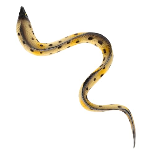 ORFOFE Realistisches Meeresaall Modell aus Leichtes Detailgetreues Meereslebewesen für Pädagogisches Dekorations Lernspielzeug für Micro-landschaften und Schreibtisch ORFOFE Realistisches Meeresaall Modell aus Leichtes Detailgetreues Meereslebewesen für Pädagogisches Dekorations Lernspielzeug für Micro-landschaften und Schreibtisch von ORFOFE