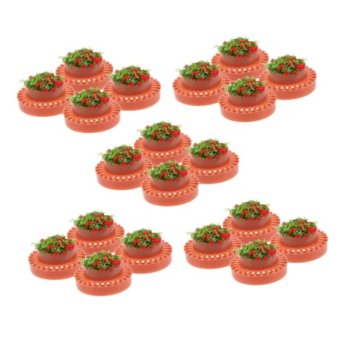 OSALADI 20 Stück Simulation Gartenbeet für Puppenhaus Zubehör Miniatur Bonsai Pflanzgefäße für Sandtisch Landschaftsgestaltung OSALADI 20 Stück Simulation Gartenbeet für Puppenhaus Zubehör Miniatur Bonsai Pflanzgefäße für Sandtisch Landschaftsgestaltung von OSALADI