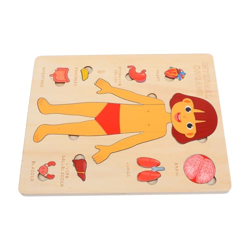 OSOLADY 1 Set Holz-puzzle Für Den Menschlichen Körper, Kleinkind, Montessori-anatomie-puzzle, Menschlicher Körper, Lernpuzzle, Spielzeug Mit Innerem Organ, Englisch (mädchen) von OSOLADY