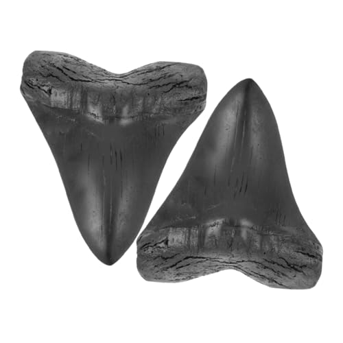 OSOLADY 2 Stück Megalodon Riesenhai Nachbildung Probezähne Megalodon Hai Megalodon Nachbildung Zähne Requisiten Riesen Nachbildung Zähne Ornamente Dekorationen Probezähne Schwarz von OSOLADY