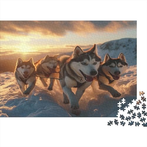 Alaskan Malamute Dog Puzzlespiel 1000 Teile Puzzle Für Erwachsene Und Kinder Ab 14 Jahren, Erwachsenen Puzzlespiel Puzzel 1000pcs (75x50cm) von OTANIRPLE