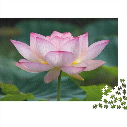 Lotus Puzzle 1000 Teile Puzzle Für Erwachsene Und Kinder Ab 14 Jahren,Puzzlespiel Erwachsenen Puzzlespiel Puzzel 1000pcs (75x50cm) von OTANIRPLE