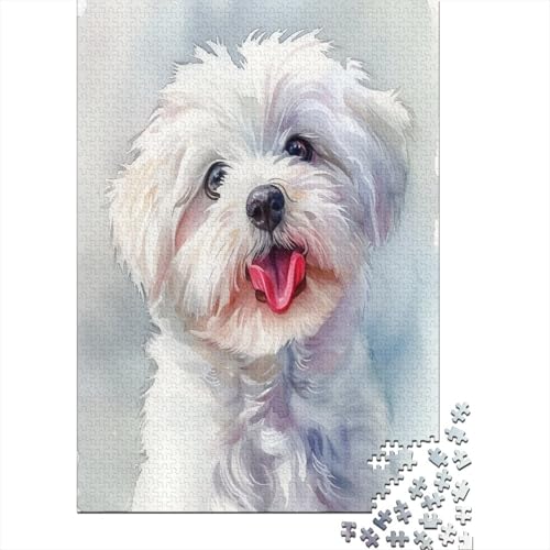 Maltese Hund Puzzle 1000 Teile,Puzzle Für Erwachsene, Impossible Puzzle, GesKükenlichkeitsspiel Für Die Ganze Familie,Puzzle Farbenfrohes,Puzzle-Geschenk,RaumdekoRatteion Puzzel 1000pcs (75x50cm) von OTANIRPLE