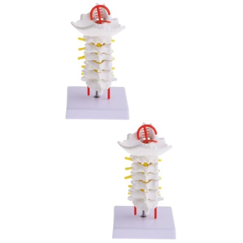 OUNONA 2 Stk Halswirbelsäule mit Halsschlagader Modell der Halsschlagader Wirbelsäulenmodell Puppe Halswirbelmodell Zwischenwirbelmodell medizinisches Lehrmittel anatomisches Modell PVC von OUNONA