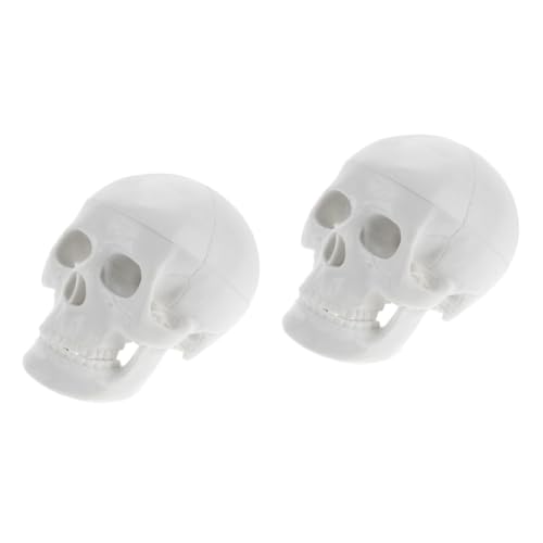 OUNONA 2St Schädelmodell Kopfmodell Anatomisches Modell Kinder Schädel Modell künstliche Schädelverzierung Schädelknochenmodell Halloween-Party-Dekor -Modell-Dekor PVC Weiß von OUNONA