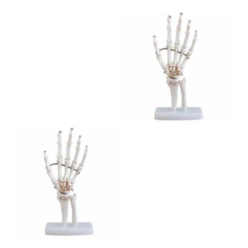 OUNONA 2St handgelenk modell Haushalt Ausbildungsmodell für Arztpraxen Hand joint model Hand skeleton model werkzeug menschliches handgelenkmodell Anatomisches Modell des Handskeletts PVC von OUNONA