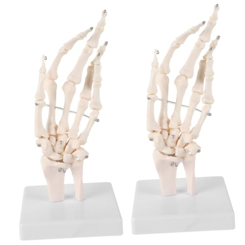 OUNONA 2st Handknochengelenkmodell Modell Der Menschlichen Hand Kleine Skelettfigur Menschliches Anatomisches Modell Mini-skelettfiguren Kleine Skelette Skelettknochen Hände Weiß Pvc von OUNONA