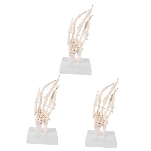 OUNONA 3St Handknochengelenkmodell menschliches handgelenkmodell medizinisches anatomisches Modell Medizinisches Handknochenmodell Menschliches Skelettmodell Labor-Tool Handskelettmodell von OUNONA