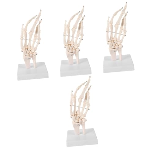 OUNONA 4 Stück Handknochengelenkmodell Medizinisches Anatomisches Modell Menschliches Handgelenkmodell Menschliches Artikulierendes Anatomisches Modell Handskelettmodell Weiß Pvc von OUNONA