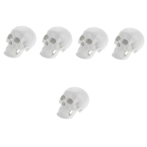 OUNONA 5St Schädelmodell realistischer Schädel realistischer menschlicher schädel Kopfknochenmodell Kopfmodell Anatomisches Modell simulierter Schädel Halloween-Schädel-Dekor PVC Weiß von OUNONA