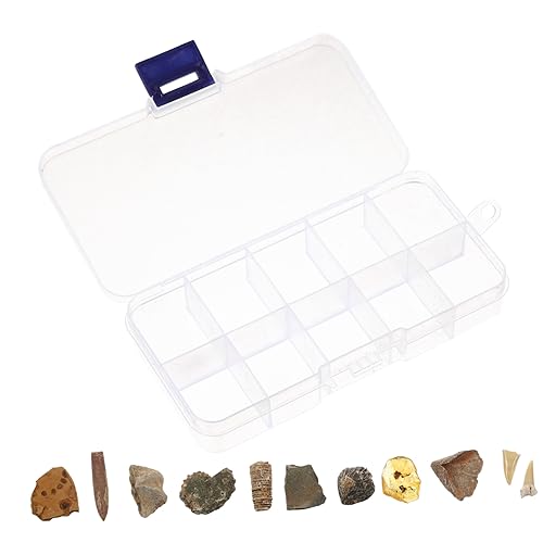 OUNONA Fossilien Sammelbox Mit Antiken Verzierungen Trilobiten Bernstein Und Mineralien Für Den Unterricht Und Als Schreibtischdekoration von OUNONA