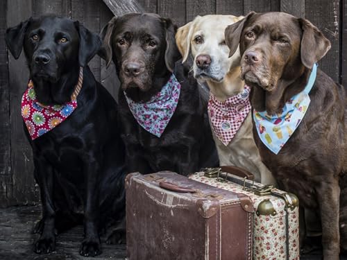 OZLHSP 1500 Teile Puzzle Tiere Retriever Koffer Labrador Retriever 87x57cm OZLHSP 1500 Teile Puzzle Tiere Retriever Koffer Labrador Retriever 87x57cm von OZLHSP