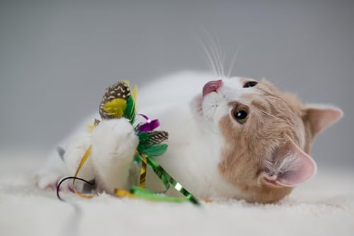 OZLHSP Puzzel ab mädchen 3D Puzzle 1500 Teile Tiere 87x57cm OZLHSP Puzzel ab mädchen 3D Puzzle 1500 Teile Tiere 87x57cm von OZLHSP