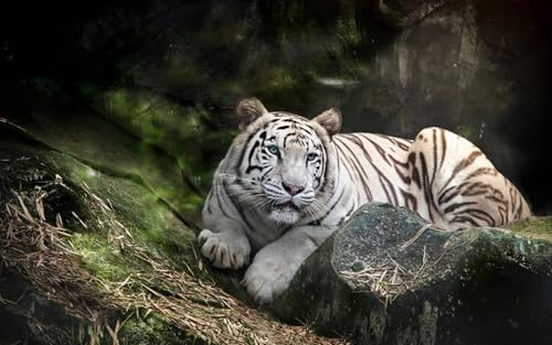 OZLHSP Puzzle 3D Kinder 3D Puzzle 1500 Teile Tigertier 87x57cm OZLHSP Puzzle 3D Kinder 3D Puzzle 1500 Teile Tigertier 87x57cm von OZLHSP