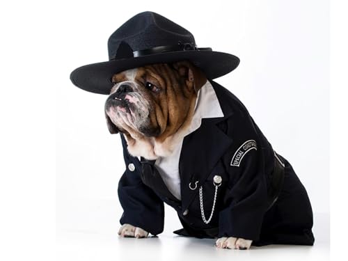 OZLHSP Spiel des Jahres Puzzle 500 Teile Tiere Polizei Bulldog 52x38cm OZLHSP Spiel des Jahres Puzzle 500 Teile Tiere Polizei Bulldog 52x38cm von OZLHSP