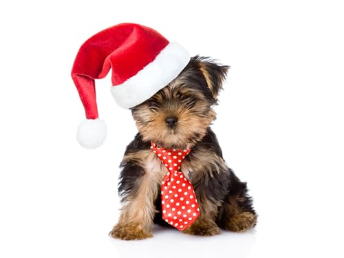 OZLHSP Spiel des Jahres Puzzle 500 Teile Yorkshire 52x38cm OZLHSP Spiel des Jahres Puzzle 500 Teile Yorkshire 52x38cm von OZLHSP