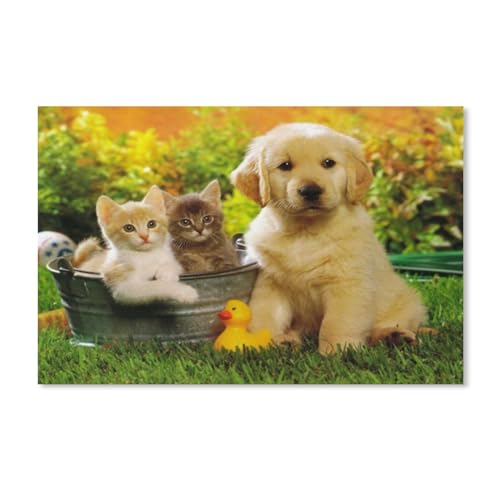 1000 Piece Puzzles Für Kid Adult Toy Geschenk DIY Game，Katzen und Hunde（50x70cm）-A48 von ObuMI