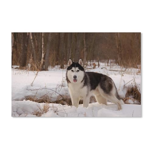 1000 Puzzles Für Erwachsene，Husky Hund，Freizeit Unterhaltung Kinder Spielzeug Zuhause Dekoration Art（38x26cm）-25 von ObuMI