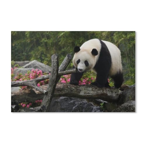 1000 Puzzles Für Erwachsene，Panda，Freizeit Unterhaltung Kinder Spielzeug Zuhause Dekoration Art（38x26cm）-A25 von ObuMI