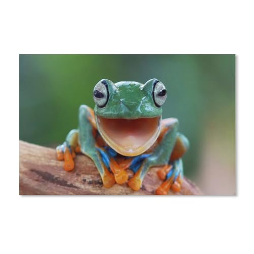 1000 Stück，Froschtiere，Puzzle Für Erwachsene Lernspielzeug Für Kinder Kreative Spiele Unterhaltung Holz Puzzles Home Decor（75x50cm）-117 von ObuMI