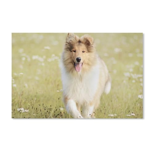 1000 Stück，Hund läuft im Gras，Puzzle Für Erwachsene Lernspielzeug Für Kinder Kreative Spiele Unterhaltung Holz Puzzles Home Decor（75x50cm）-A263 von ObuMI