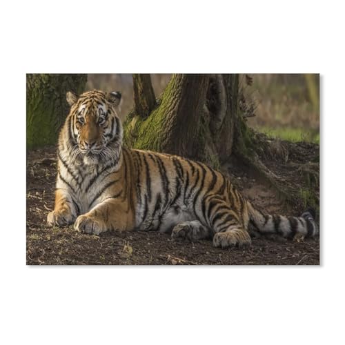 1000 Stück Puzzle，Tiger，Erwachsene Kinder Papierspielzeug Lernspiel（38x26cm）-A14 von ObuMI