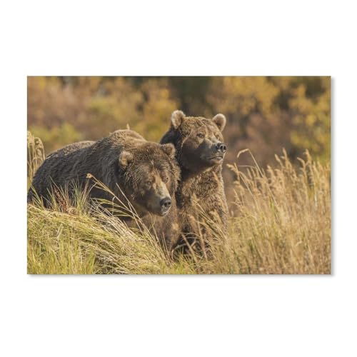 1000 Stück Puzzle，Zwei Grizzlybären im Gras，Erwachsene Karton Puzzles, Kinder Entdecken Sie Kreativität Wandkunst Dekor Spielzeug（38x26cm）-A392 von ObuMI