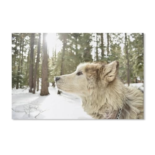 1000 Stück Puzzle Für Erwachsene Puzzle Holz Puzzle，Schlittenhund im Winterschneewald，Puzzles DIY Pädagogisches Puzzle Spiel Kinder Familienspiele(75x50cm-C48 von ObuMI