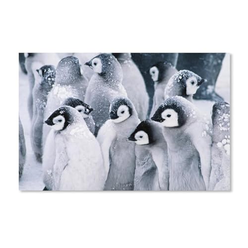 Erwachsene Puzzle 1000 Stück DIY Holz pielzeug，Gegenseitige Erwärmung der Pinguine im Schnee，Creative Einzigartiges Geschenk Persönlichkeit Spiel Erwachsener Kind Puzzle Spielzeug（75x50cm）-A24 von ObuMI