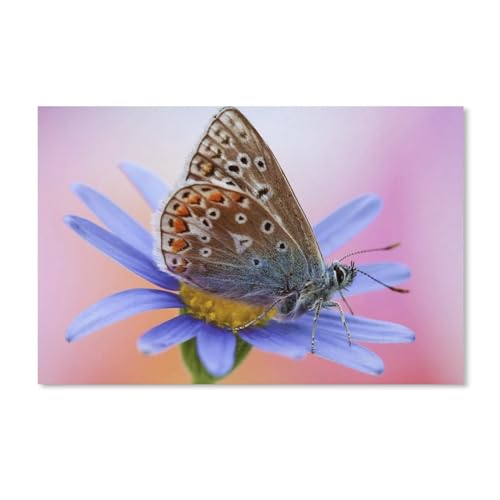 Erwachsene Puzzle 1000 Stück DIY Holz pielzeug，Schmetterling und Blaue Blume，Creative Einzigartiges Geschenk Persönlichkeit Spiel Erwachsener Kind Puzzle Spielzeug（75x50cm）-243 von ObuMI