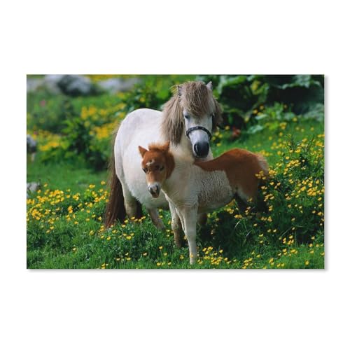 Klassisches Puzzle 1000 Teile，Tiere, Pferd, Fohlen，Kind Oder Einen Freund,1000 Piece（52x38cm）-A182 von ObuMI