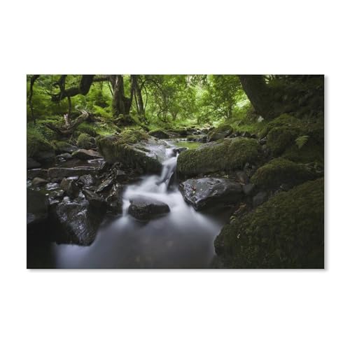 Kleine Fluss- und Steinlandschaft im Wald，Papier Puzzle 1000 Teile Spielzeug Für Erwachsene Dekompressionsspiel（38x26cm）-B39 von ObuMI