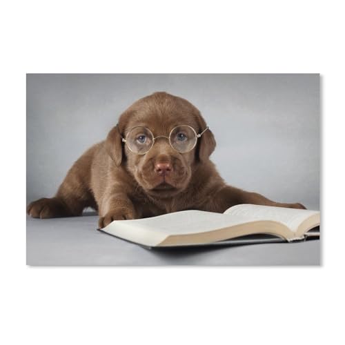 Labrador-Hund, braun, liest EIN Buch, Brille，Puzzle 1000 Teile für Erwachsene, Klassische Puzzle Teenager Jungen Mädchen Puzzle Puzzles Spiele Pädagogisches Geschenk Home Decor（50x70cm）-58 von ObuMI