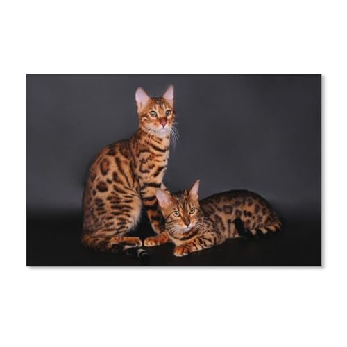 Papier Jigsaw Puzzle 1000 Stück，Bengalkatze，Erwachsene Kinder Spielzeug Dekompressionsspiel（38x26cm）-D76 von ObuMI