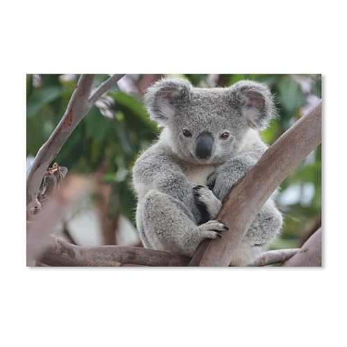 Papier Puzzle 1000 Stück，Koala，Puzzles Lernspielzeug Für Erwachsene Geburtstagsgeschenk（38x26cm）-A13 von ObuMI