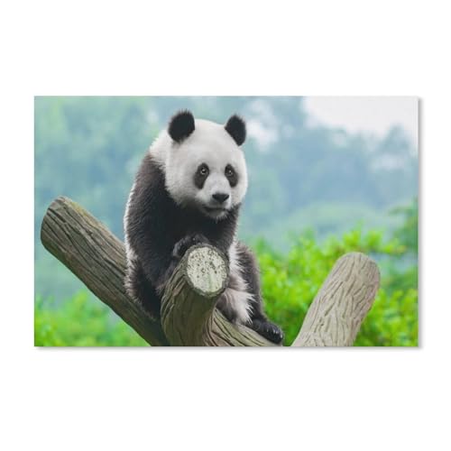 Puzzel Für Erwachsene Jigsaw Puzzle 1000，Niedliches Panda-Tier，DIY Papp Puzzle Einzigartiges Geschenk（38x26cm）-314 von ObuMI